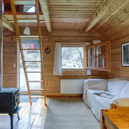 Mazot De Glace - Happy * 霞慕尼