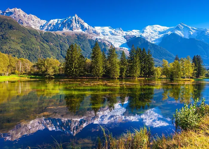 公寓 Mazot De Glace - Happy