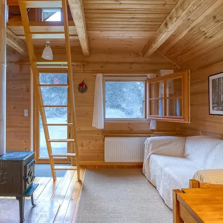 Mazot De Glace - Happy *