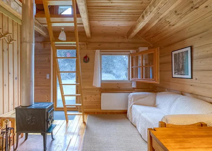 Mazot De Glace - Happy *